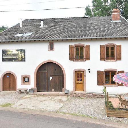 Saint-Die-des-Vosges Serendipity Bed&Breakfast المظهر الخارجي الصورة