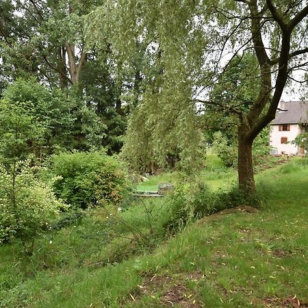 Saint-Die-des-Vosges Serendipity Bed&Breakfast المظهر الخارجي الصورة