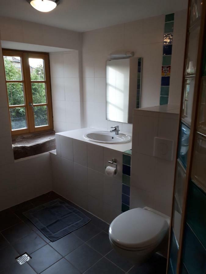 Saint-Die-des-Vosges Serendipity Bed&Breakfast المظهر الخارجي الصورة
