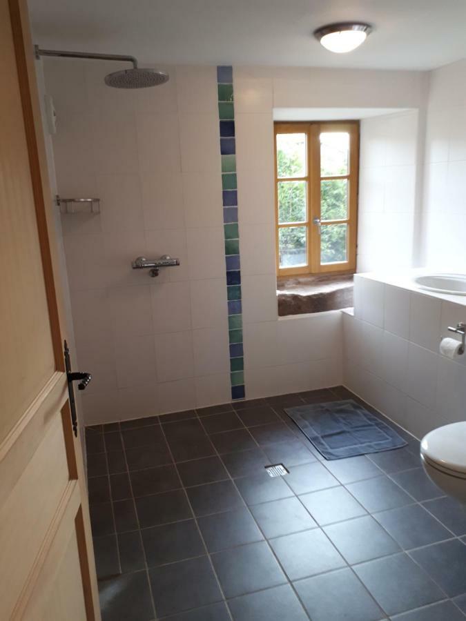 Saint-Die-des-Vosges Serendipity Bed&Breakfast المظهر الخارجي الصورة