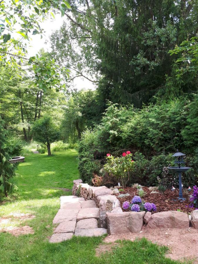 Saint-Die-des-Vosges Serendipity Bed&Breakfast المظهر الخارجي الصورة