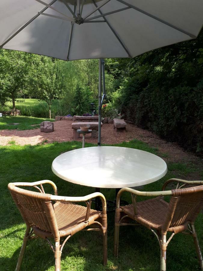 Saint-Die-des-Vosges Serendipity Bed&Breakfast المظهر الخارجي الصورة