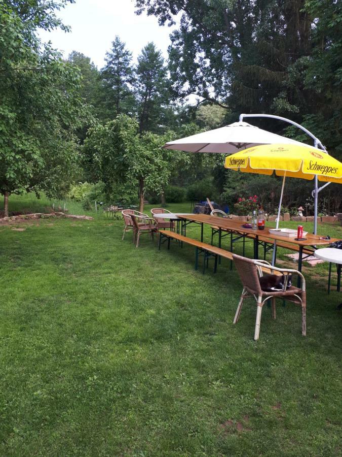 Saint-Die-des-Vosges Serendipity Bed&Breakfast المظهر الخارجي الصورة