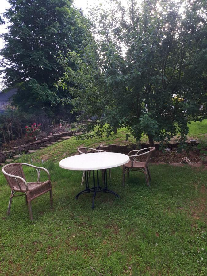 Saint-Die-des-Vosges Serendipity Bed&Breakfast المظهر الخارجي الصورة