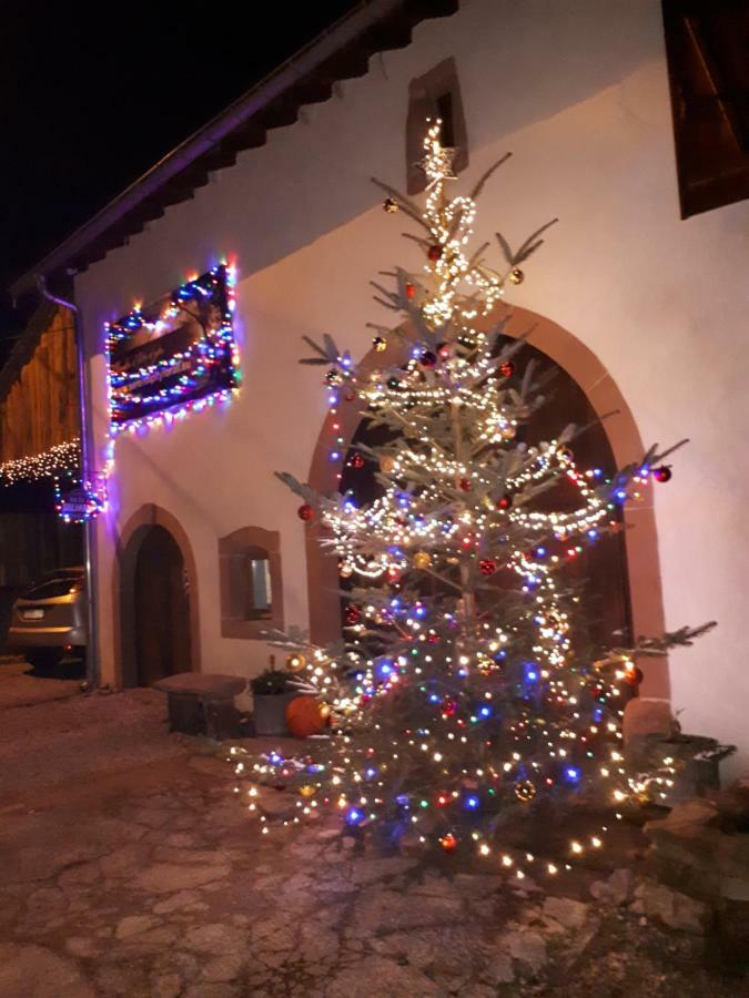 Saint-Die-des-Vosges Serendipity Bed&Breakfast المظهر الخارجي الصورة