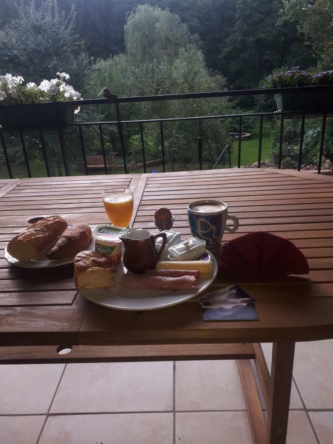 Saint-Die-des-Vosges Serendipity Bed&Breakfast المظهر الخارجي الصورة