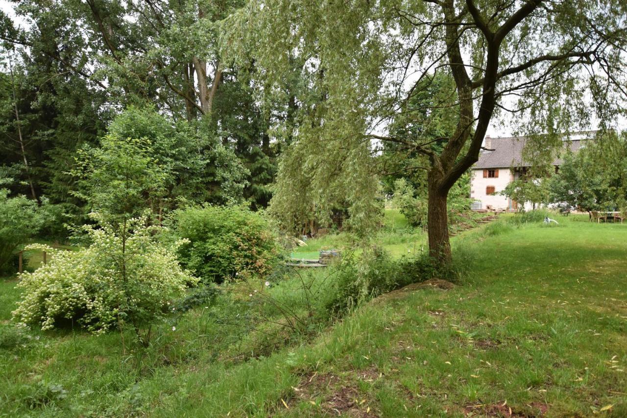Saint-Die-des-Vosges Serendipity Bed&Breakfast المظهر الخارجي الصورة